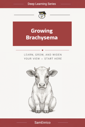 Growing Brachysema