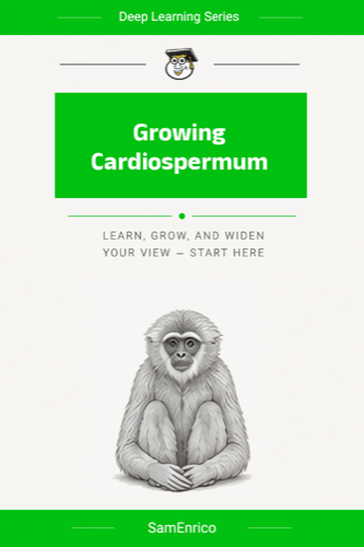 Growing Cardiospermum