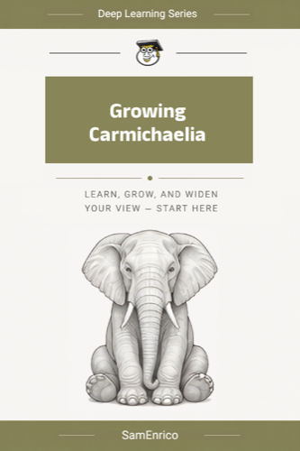 Growing Carmichaelia