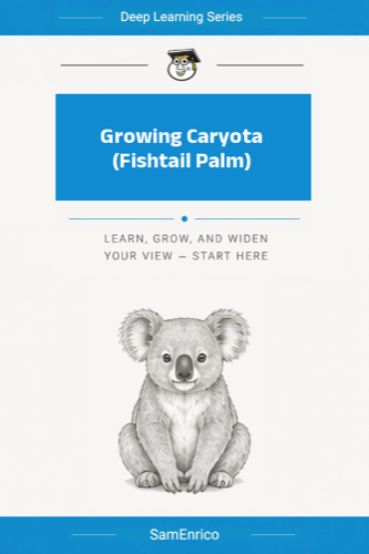 Growing Caryota (Fishtail Palm)