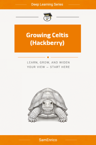 Growing Celtis (Hackberry)