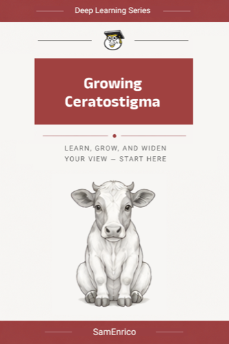 Growing Ceratostigma