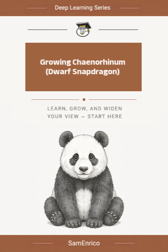 Growing Chaenorhinum (Dwarf Snapdragon)