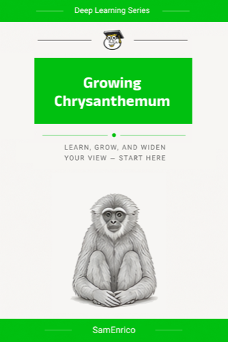 Growing Chrysanthemum
