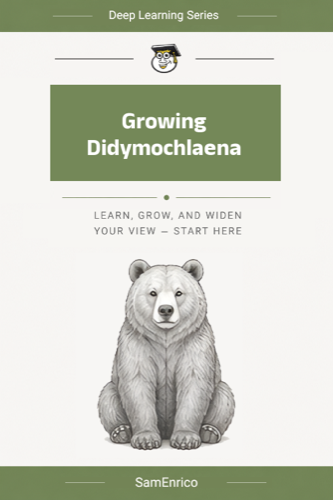 Growing Didymochlaena