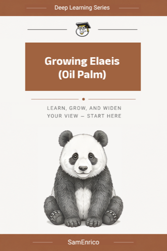 Growing Elaeis (Oil Palm)