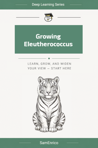 Growing Eleutherococcus