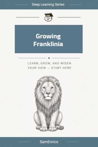 Growing Franklinia