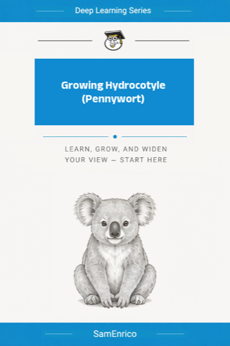 Growing Hydrocotyle (Pennywort)