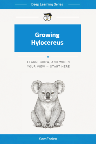 Growing Hylocereus