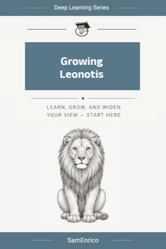 Growing Leonotis