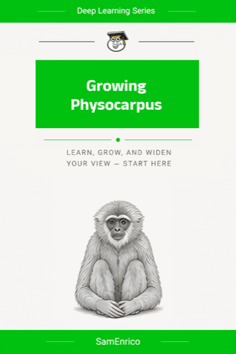 Growing Physocarpus