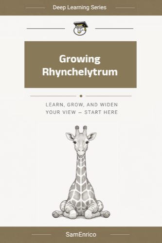 Growing Rhynchelytrum