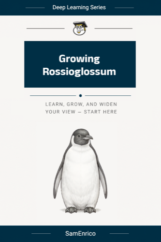 Growing Rossioglossum