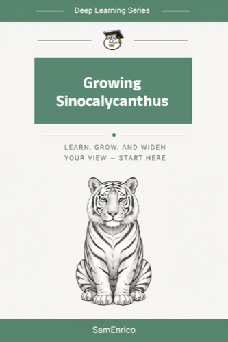 Growing Sinocalycanthus