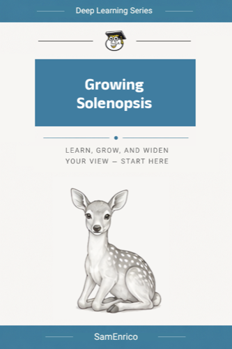 Growing Solenopsis