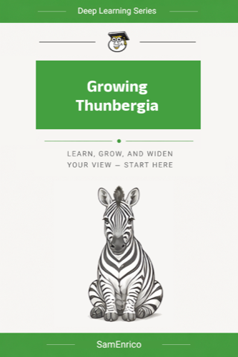 Growing Thunbergia