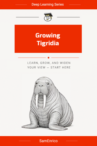 Growing Tigridia