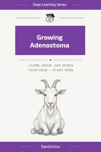 Growing Adenostoma