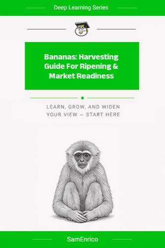 Bananas: Harvesting Guide For Ripening & Market Readiness