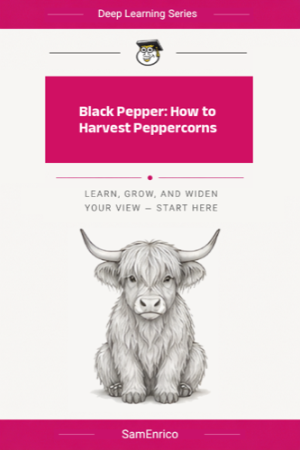 Black Pepper: How to Harvest Peppercorns