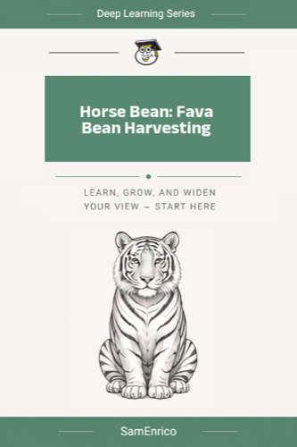 Horse Bean: Fava Bean Harvesting