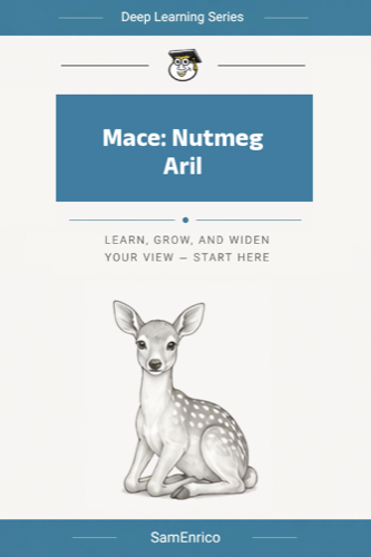Mace: Nutmeg Aril