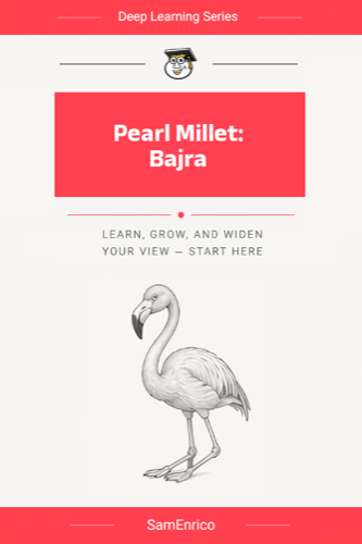 Pearl Millet: Bajra