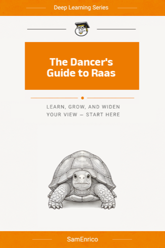 The Dancer's Guide to Raas