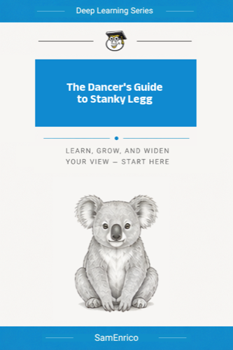 The Dancer's Guide to Stanky Legg