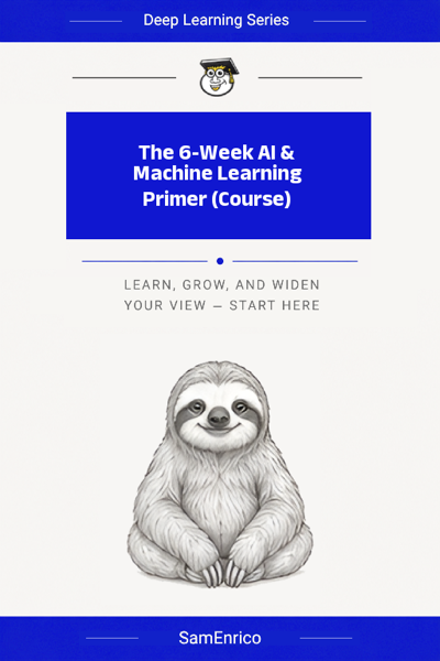 The 6-Week AI & Machine Learning Primer (Course)