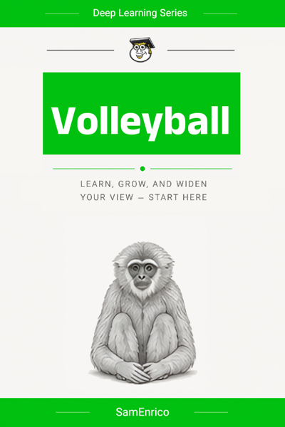 Volleyball