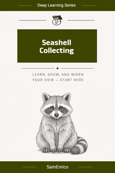 Seashell Collecting