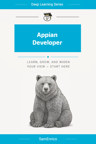 Appian Developer