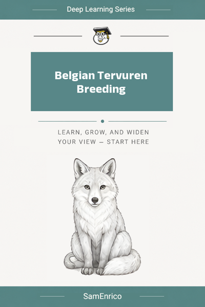 Belgian Tervuren Breeding