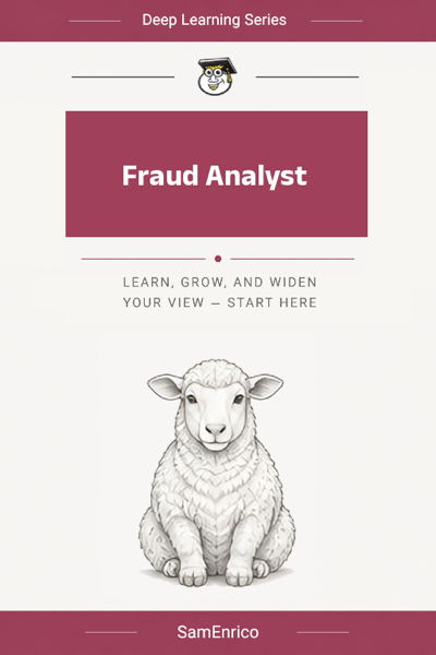 Fraud Analyst