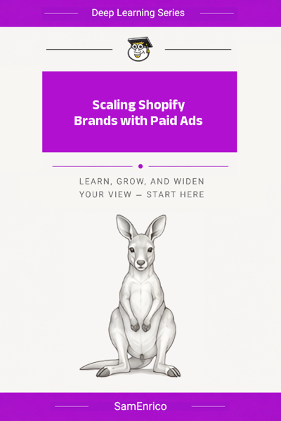 Scaling Shopify Brands with Paid Ads