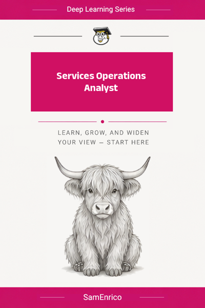 Services Operations Analyst