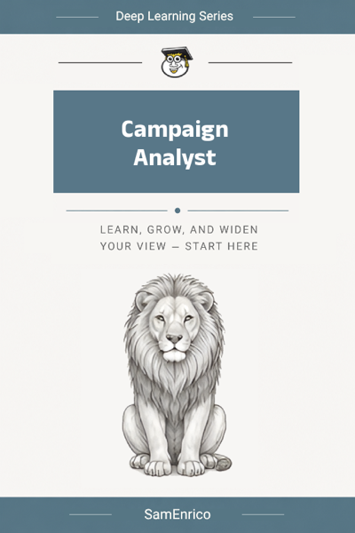 Campaign Analyst