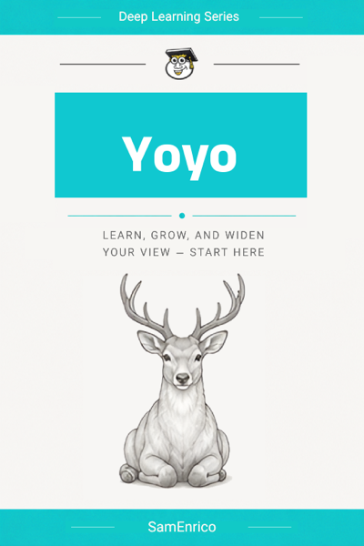 Yoyo