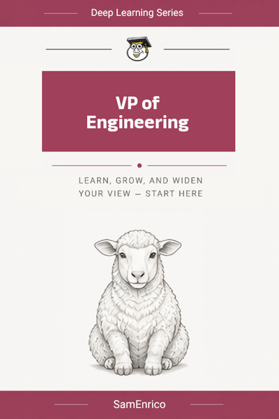 VP of Engineering