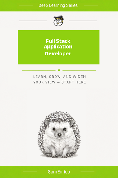 Full Stack Application Developer