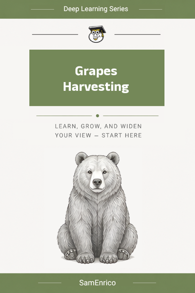 Grapes Harvesting