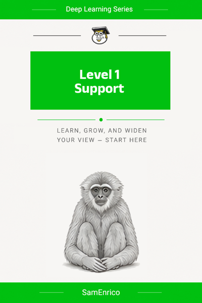 Level 1 Support