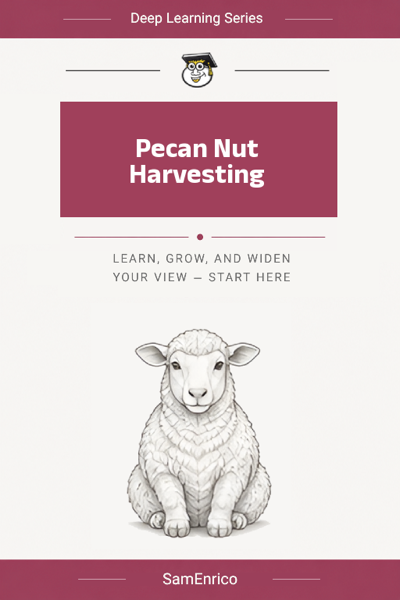 Pecan Nut Harvesting