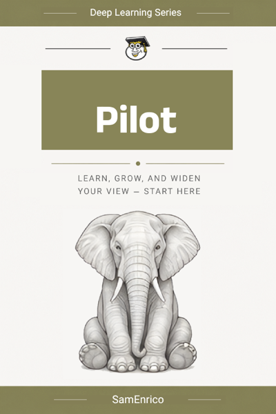 Pilot