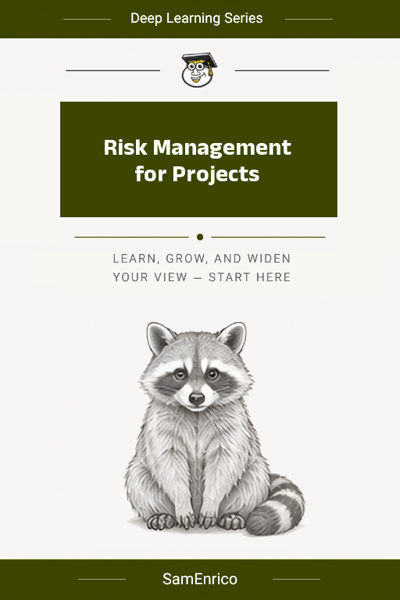Risk Management for Projects