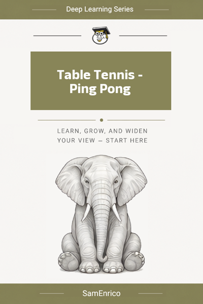 Table Tennis - Ping Pong