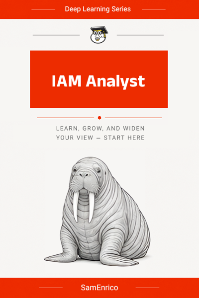 IAM Analyst