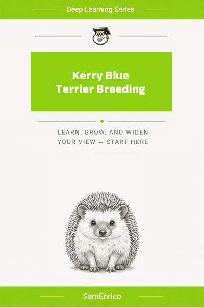 Kerry Blue Terrier Breeding